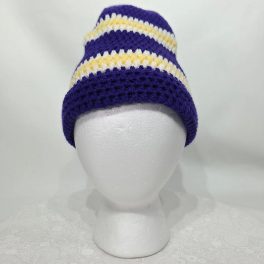 MN Vikings Inspired Beanie / Hat